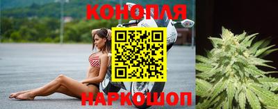 ПСИЛОЦИБИНОВЫЕ ГРИБЫ Кинель